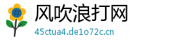 风吹浪打网 风吹浪打网